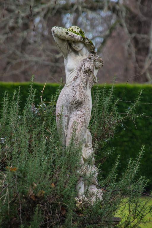 Chateau Lamothe Du Prince Noir - B&B Saint-Sulpice-et-Cameyrac Esterno foto