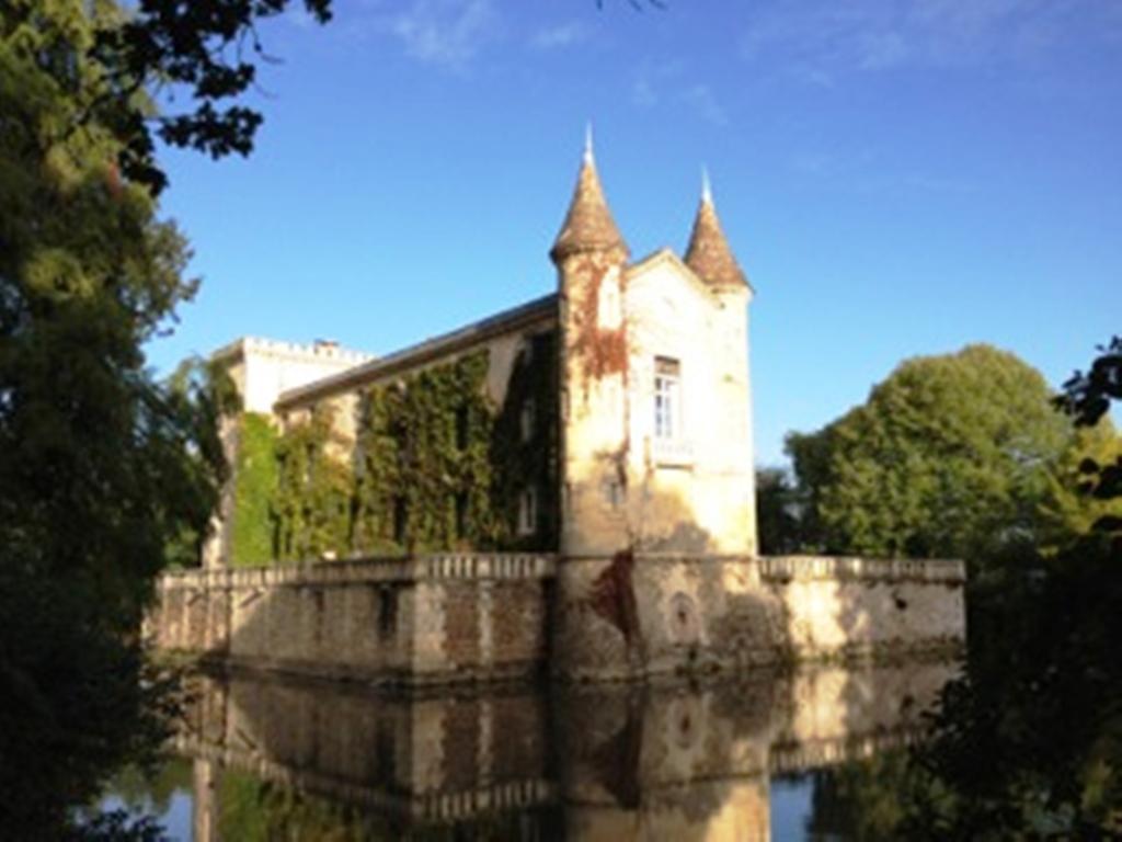 Chateau Lamothe Du Prince Noir - B&B Saint-Sulpice-et-Cameyrac Esterno foto